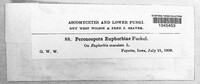Image Associated With the Occurence